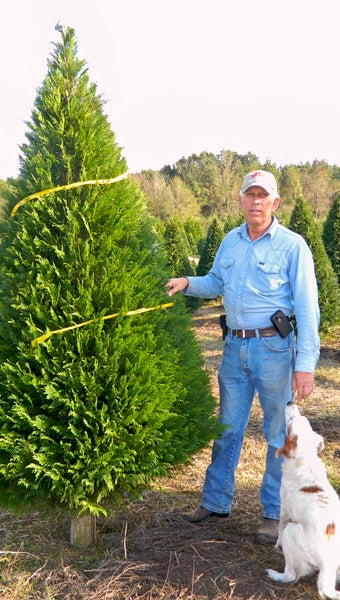 Shirley Burnham / The Prentiss Headlight – Wesley Bass and friend check out some of the Christmas trees sold and ready to be cut.